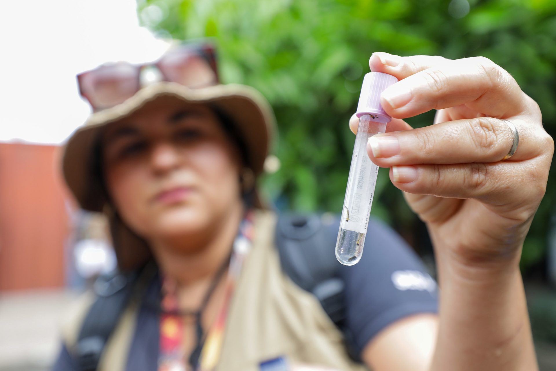 Capa da notícia: Reforço: Secretaria de Saúde adota novo aplicativo para mapeamento de focos de dengue no DF