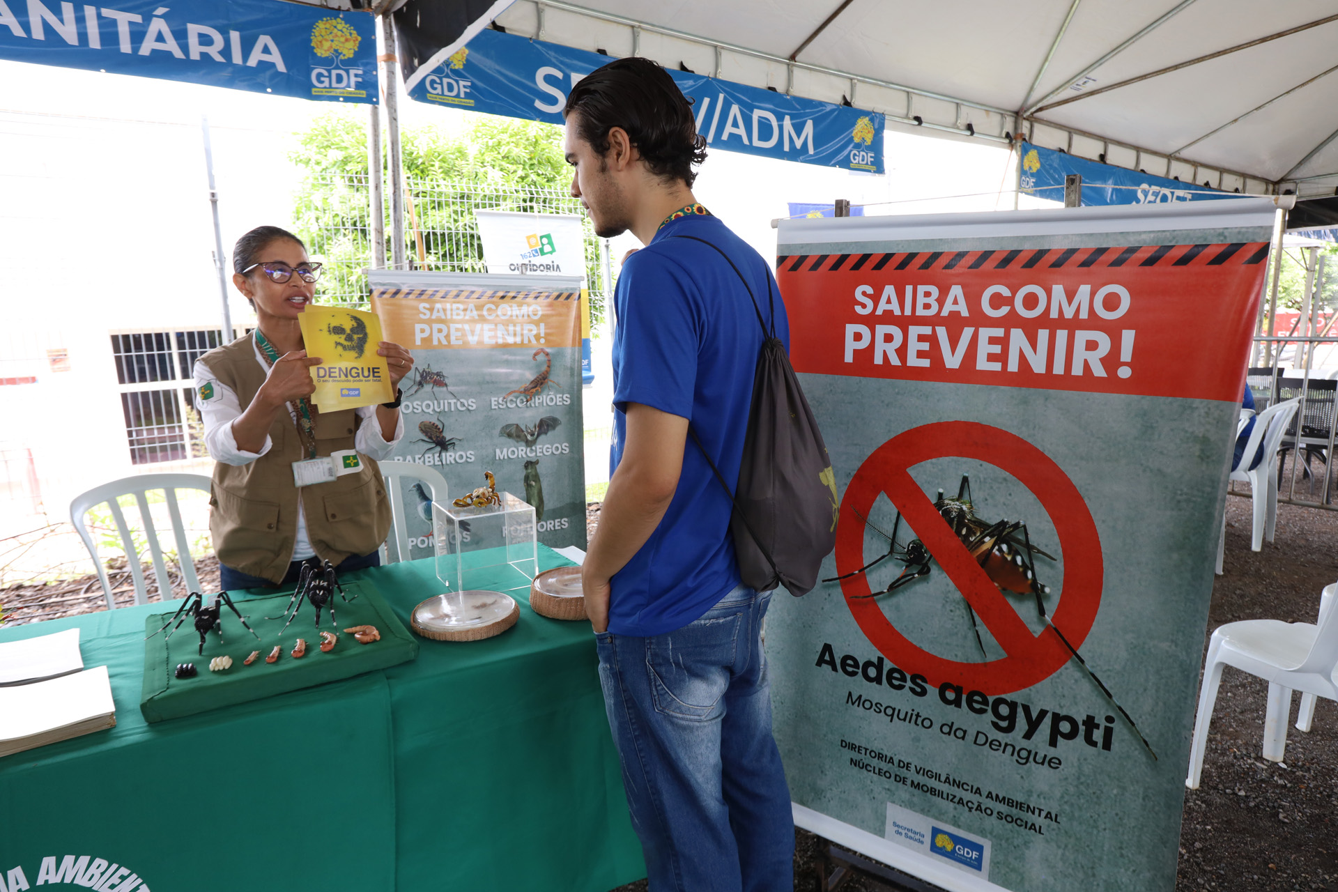 Capa da notícia: Dia Nacional de Combate à Dengue destaca mobilização contra o Aedes aegypti