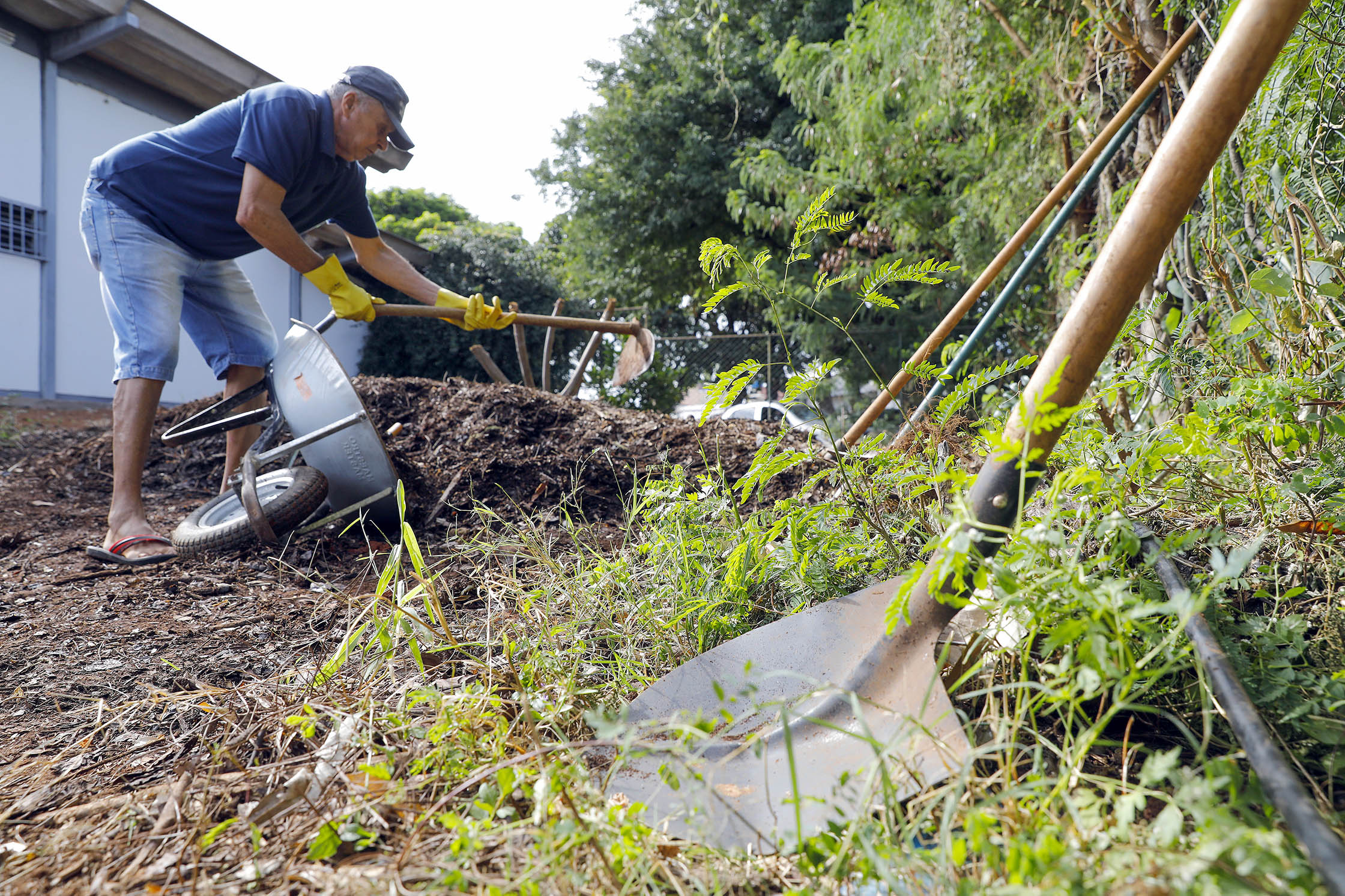 Capa da notícia: Hortos agroflorestais promovem bem-estar físico e mental nas unidades básicas de saúde do DF