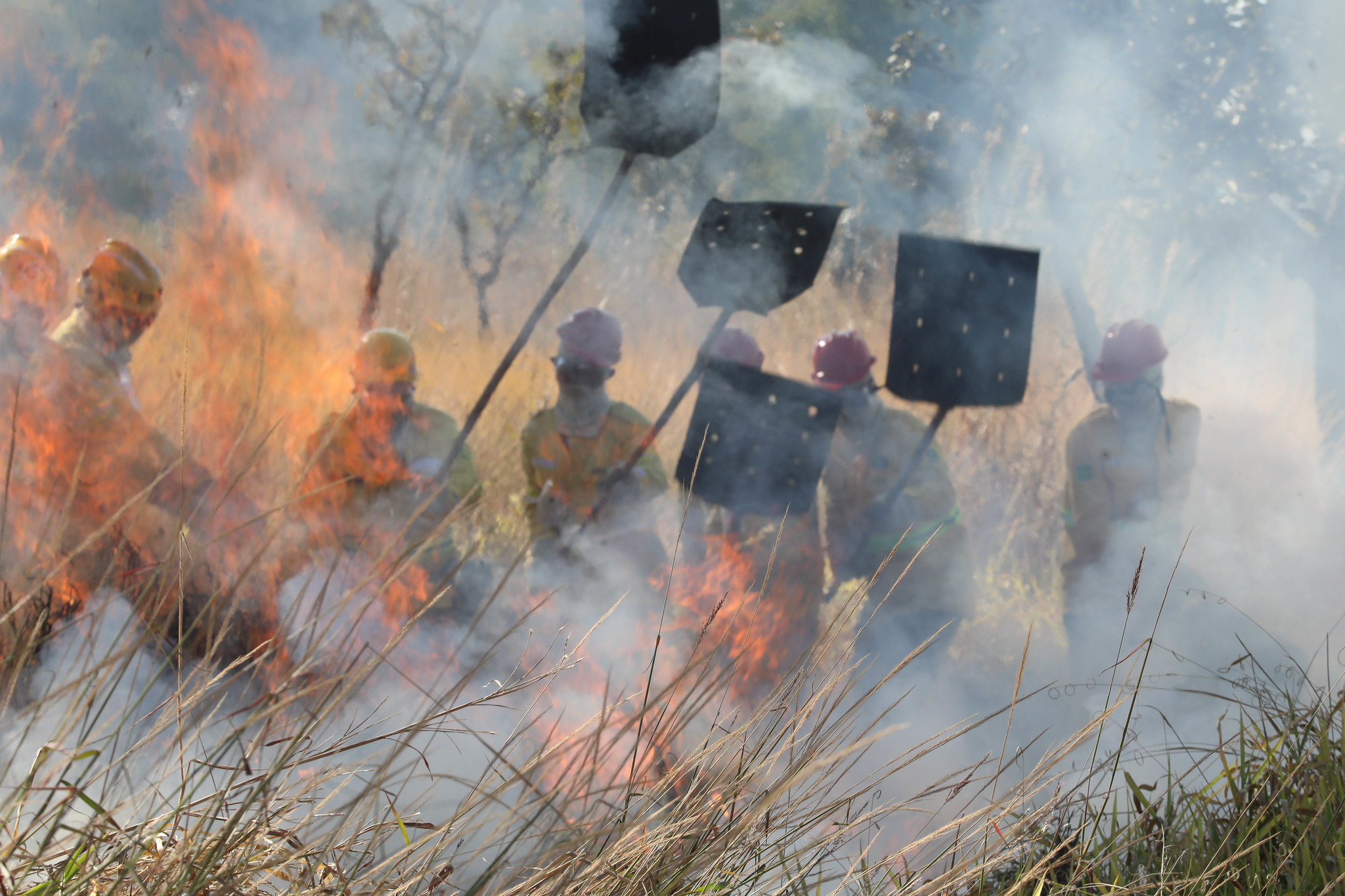 Capa da notícia: Tempo seco acende alerta no DF: população deve redobrar atenção para evitar incêndios e problemas de saúde