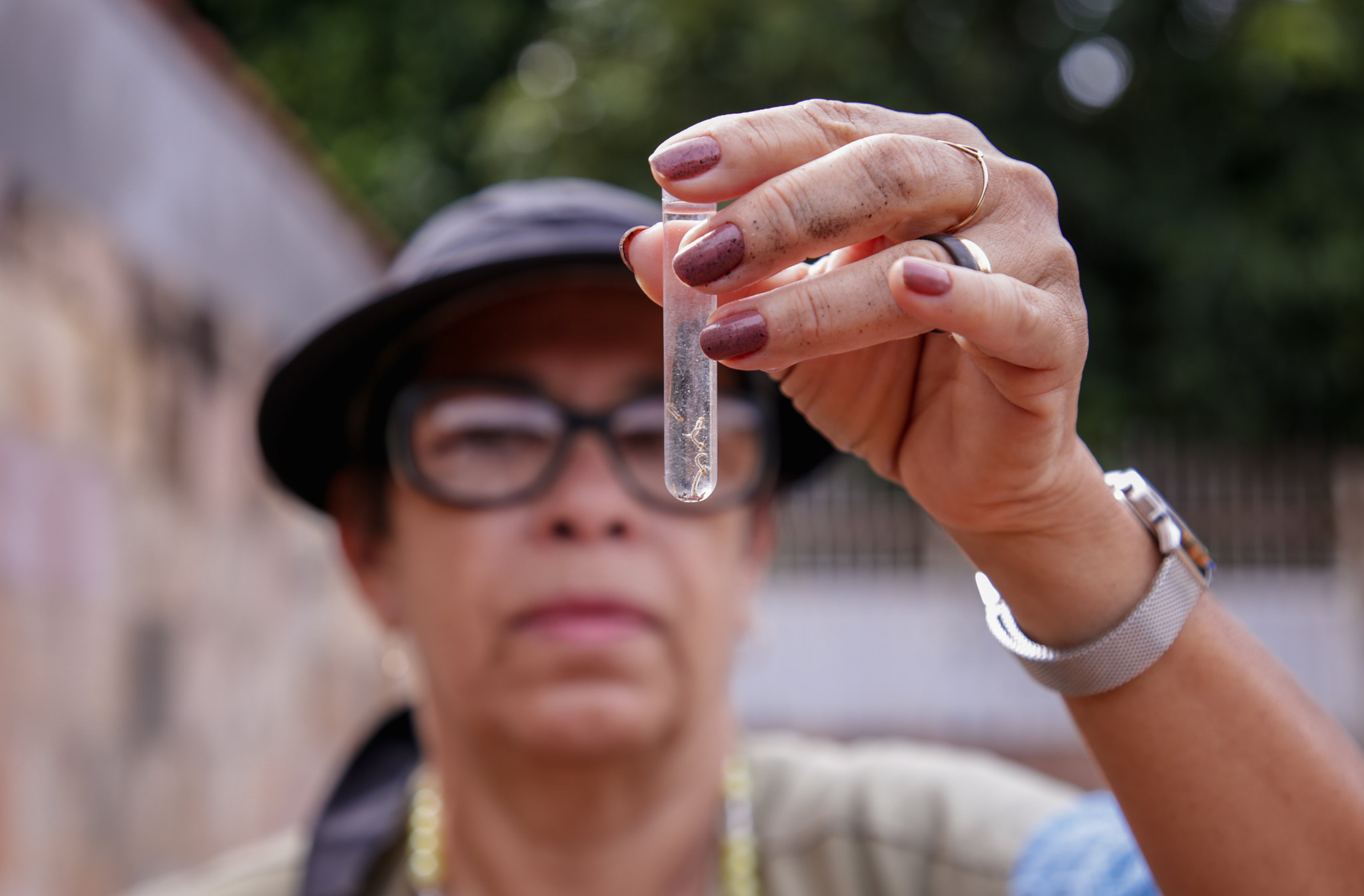 Capa da notícia: Mesmo com queda nos casos, SES segue vigilante contra a dengue