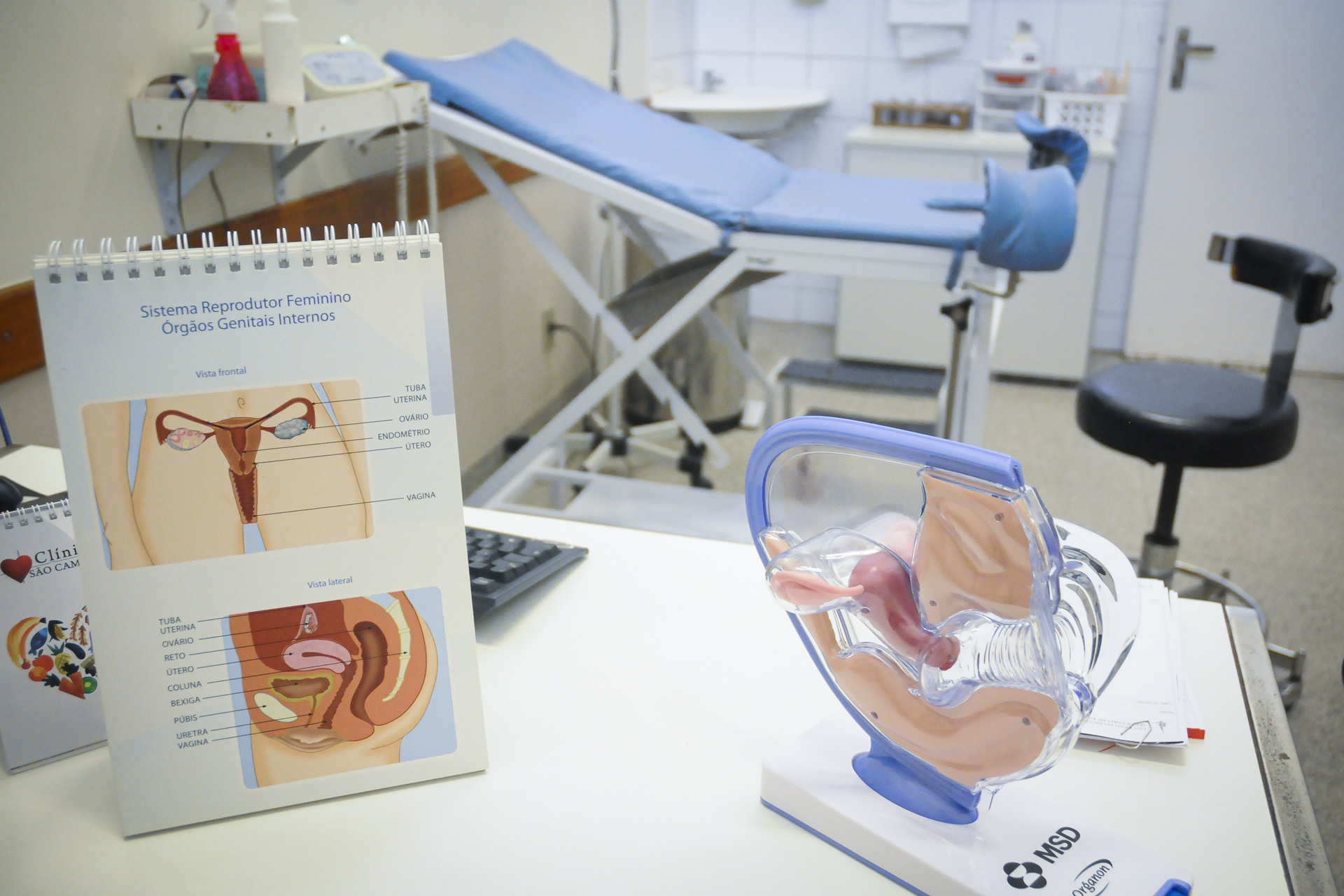 Capa da notícia: Campanhas conscientizam sobre diagnóstico precoce de câncer do colo do útero e endometriose