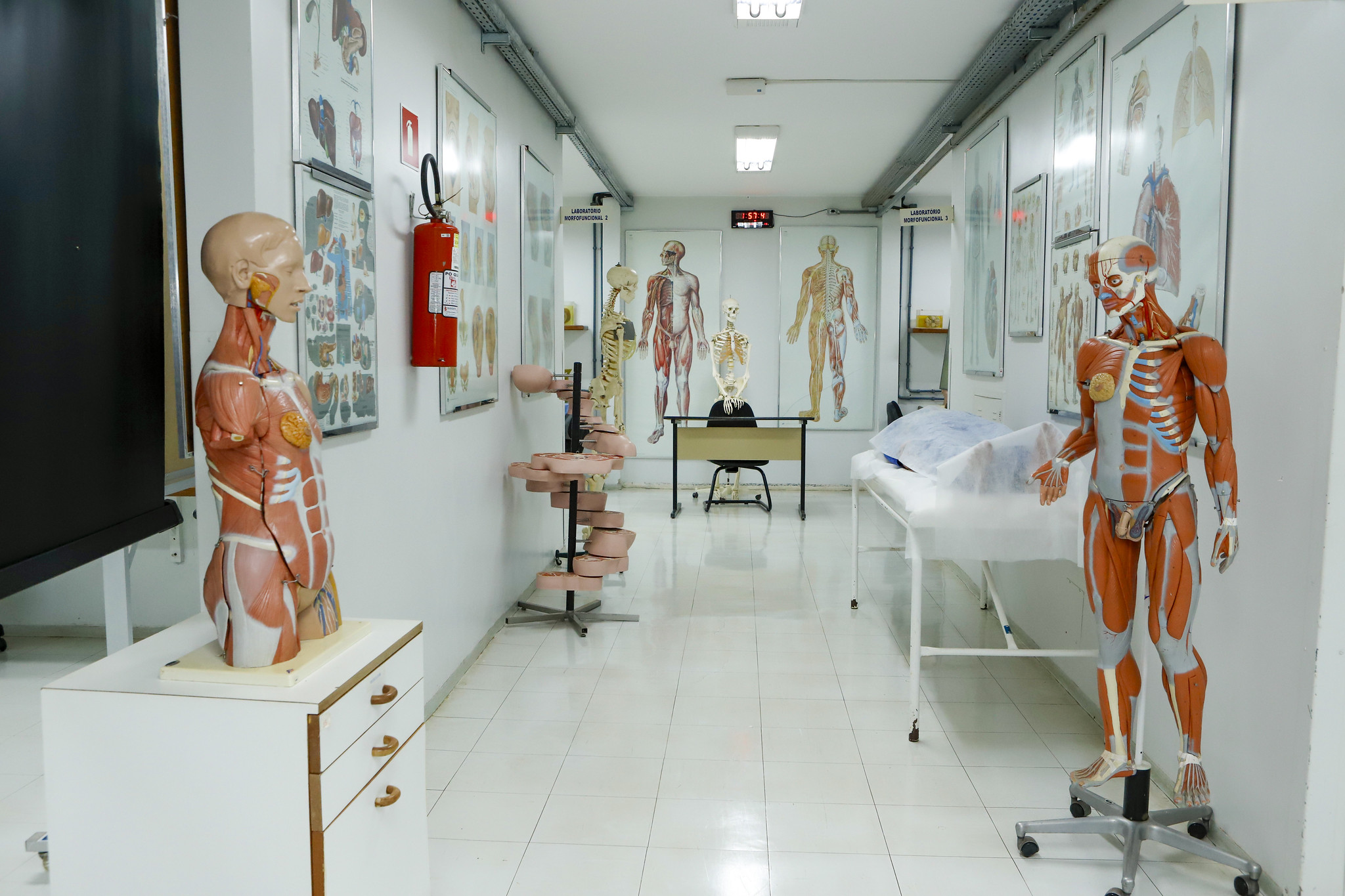 Capa da notícia: Cursos de enfermagem e medicina da Escs obtêm nota máxima no Enade