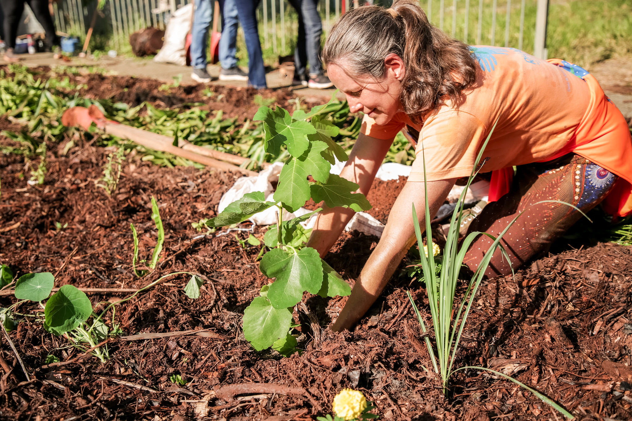 Capa da notícia: Distrito Federal inaugura Horto Agroflorestal no Ministério da Saúde