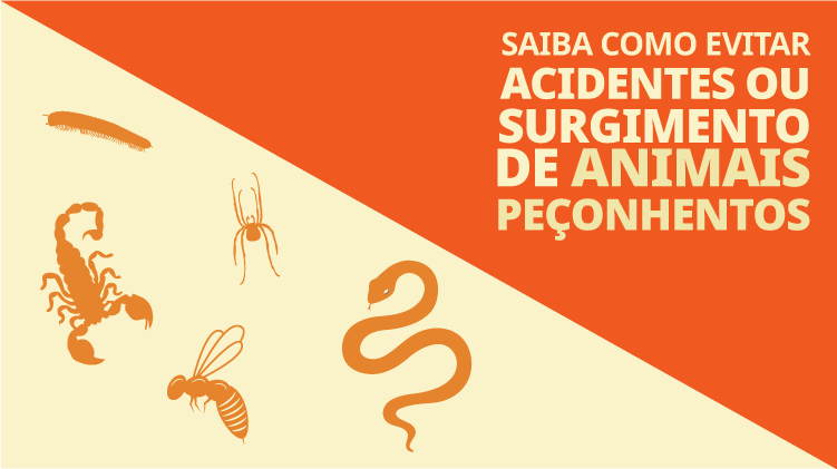 Como evitar animais peçonhentos: faça o quiz e aprenda