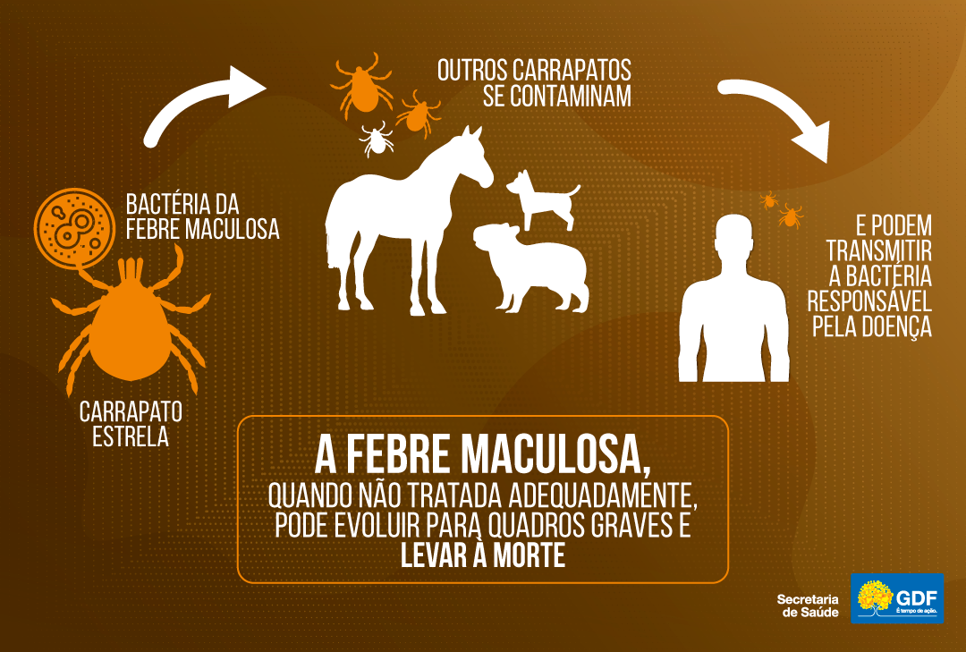 Febre maculosa: casos aumentam em período de seca, veja ações