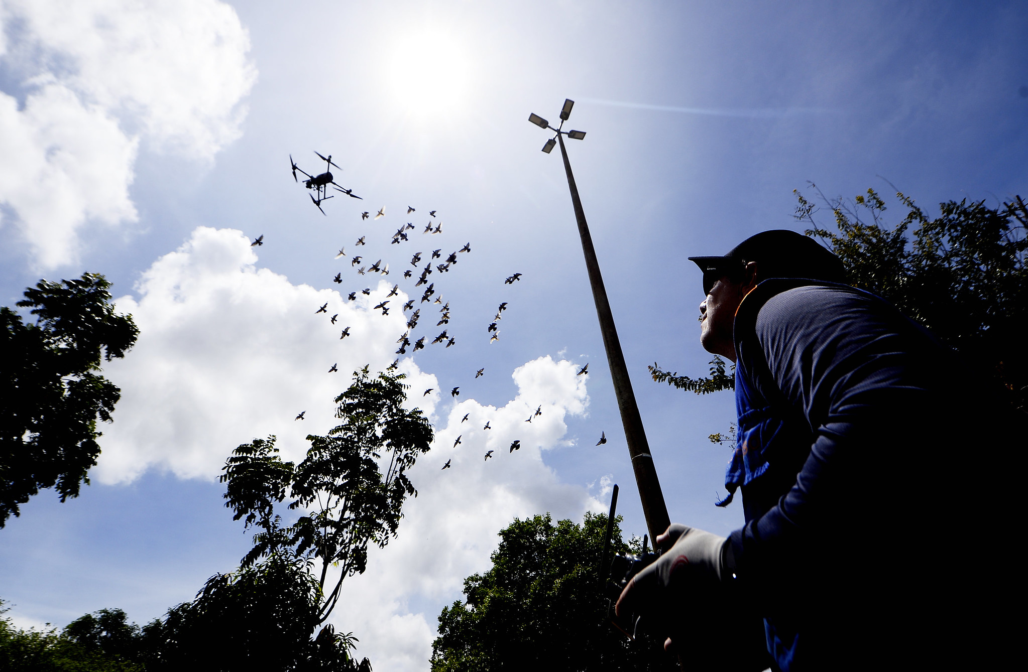 Capa da notícia: Dengue: equipes de saúde visitam mais de 1,8 milhão de residências em 2025